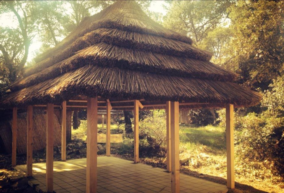 Pine Beach bungalows - story never told